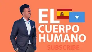 EL CUERPO HUMANO || JIRKA BINI ADAMKA