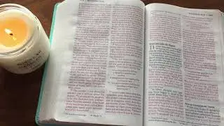 Matthew 10 NIV Audio Bible - Read With Me Live!
