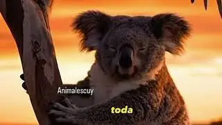 Animales salvajes de africa en español