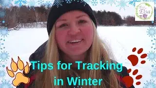 Winter Tracking Tips