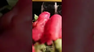 Ristorante La Gineria - il tuo Sushi a Isernia