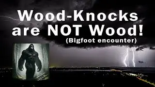 Unbelievable Sasquatch Sighting by Husband & Wife Photographers in Crabtree Meadow, CA!