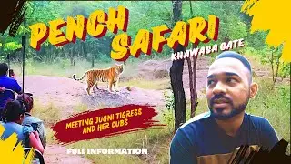 PENCH SAFARI - Khawasa Gate - Full Information | Land Of Jungle Book | Rules ka Pench Jungle