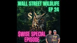 E24: The Hidden Costs of Moving Money: A Wise Perspective
