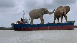 Fishing boat stranded by tide part18  | Super cargo ship  #Ship #Maritime #container