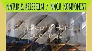 Toadfinger - 4K / Ultra HD / UHD 25p - Natur- & Reisefilm - Panasonic Lumix FZ300