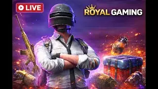 Royal gaming Live 01-02-2026