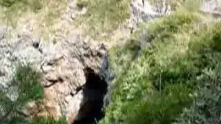 Dive Bomb