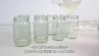 Tissue Culture medium preparation