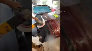 Custom Hot Rod GT500 Ford Mustang Buff & Polish Before/After Stg 1