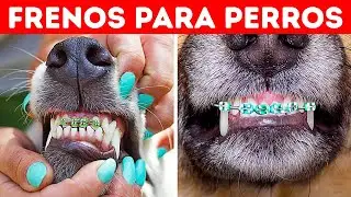 33 Datos asombrosos que no sab&iacute;as hace 5 minutos