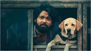 He Found Meaning Through a Dog | 777 Charlie Movie Recap