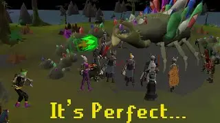 Why People LOVE the Gemstone Crab