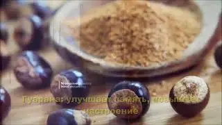 Видео про ELEV8   Официальное видео на русском языке   Best Bepic