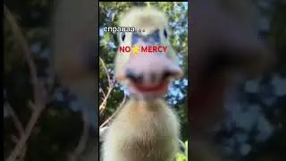 #nomercy #pubgmobile #pugbmobail #pubg #bgmi #пабг #пубгмобайл #gaming #fortnite #фортнайт