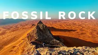 Fossil Rock | Maleha, Sharjah ||preview