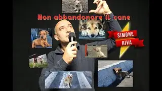 Non abbandonare il cane   Simone Riva   Videoclip