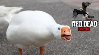 Red Dead Online - Ducks skinned (Duck Locations)
