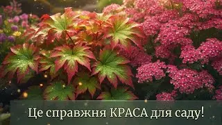 Рослини, які дарують справжню КРАСУ 🌿 Коли хочеться чогось особливого💫🍃