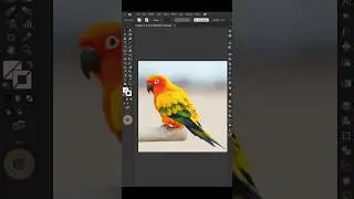 Low Poly Art Bird in Illustrator | #shorts #graphicdesign #lowpolyart