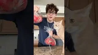 Making paprika from scratch