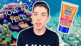 Is Your SPF Killing The Ocean?