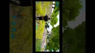 THE UNBELIEVABLE BEUTY 🥰OF TECH DINOSAUR 🦕 IN ARK ULTIMATE EDITION MOBILE #arksurvival #gaming
