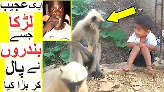 Boy Raised by Monkeys - Story of Robert Mayanja