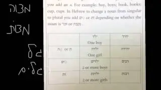4 dikduk rules plural