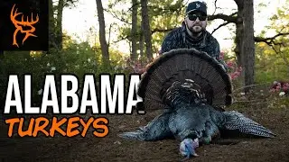 ALABAMA TURKEY with T-FARR | Buck Commander