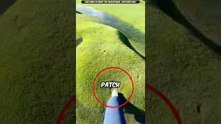 How Do Bubbles Form In Grass? | #shorts