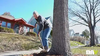 DAV Community Impact Day