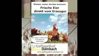 Gefl&uuml;gelhof Dambach - artgerechte H&uuml;hnerhaltung made im Odenwald