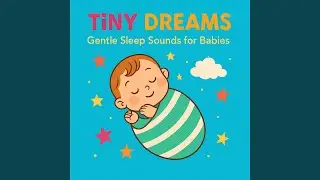 Tiny Dreams Sleep Sounds for Babies with Big Feelings