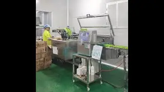 Guangzhou Guanyu Machinery-Fully automatic cartoning machine, your smart packaging 
