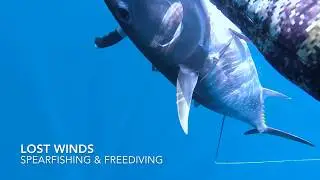 Southern California BlueFin Tuna Spearfishing - Eric Martin - Lost Winds