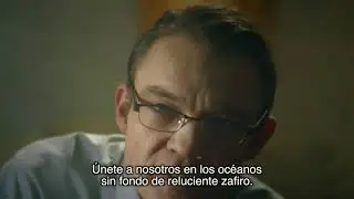 Cuckold Picasso (2017) Spanish Subtitles, Subt&iacute;tulos en Espa&ntilde;ol