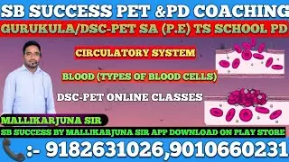 physical education-circulatory system-Blood-types of blood cells