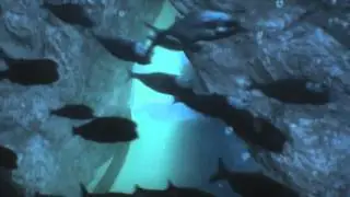 Knott's Berry Farm- Voyage To The Iron Reef Commercial