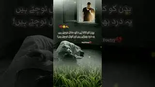 Royal Poetry  Zone💗. Beutifull Poetry #Viral #2024 ❤️💚.
