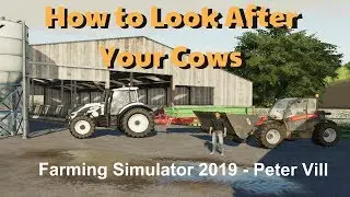How to Look After Your Cows - Petervill - Farming Simulator 19 Tutorial
