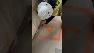 Windsor Probe Test