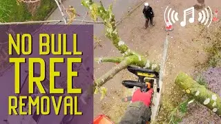 Arborist Tree Removal | No Bull, just tree removal video set to music.
