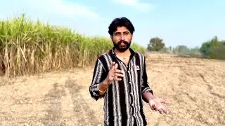 Iffi jutt Bhaikotwala 😎vlogs - khet Tura FERA-short vlogs ￼