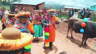 TRADICIONAL PINKILLADA EXPRESION AYMARA DE HUANCANE-JIKJATASIRI 2