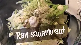 Raw Sauerkraut for Stomach Acid Reflux | Health Benefits