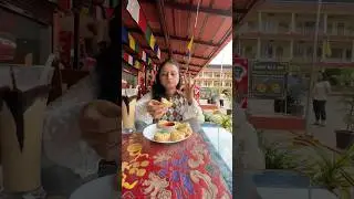 #1068 Visited Golden Temple of Karnataka | Namdroling Monastery
