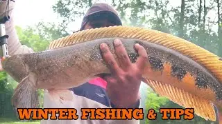 Winter SNAKEHEAD FISHING & TIPS