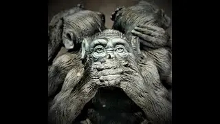 CONSCIOUSNESS - PHIXOM