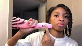 Trying the EZ Detangler brush (on THICK natural hair)